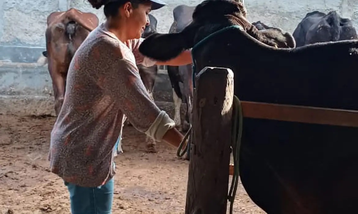 Medida busca garantir sustentabilidade e segurança de renda para o setor agropecuário de base familiar e pecuária de leite.