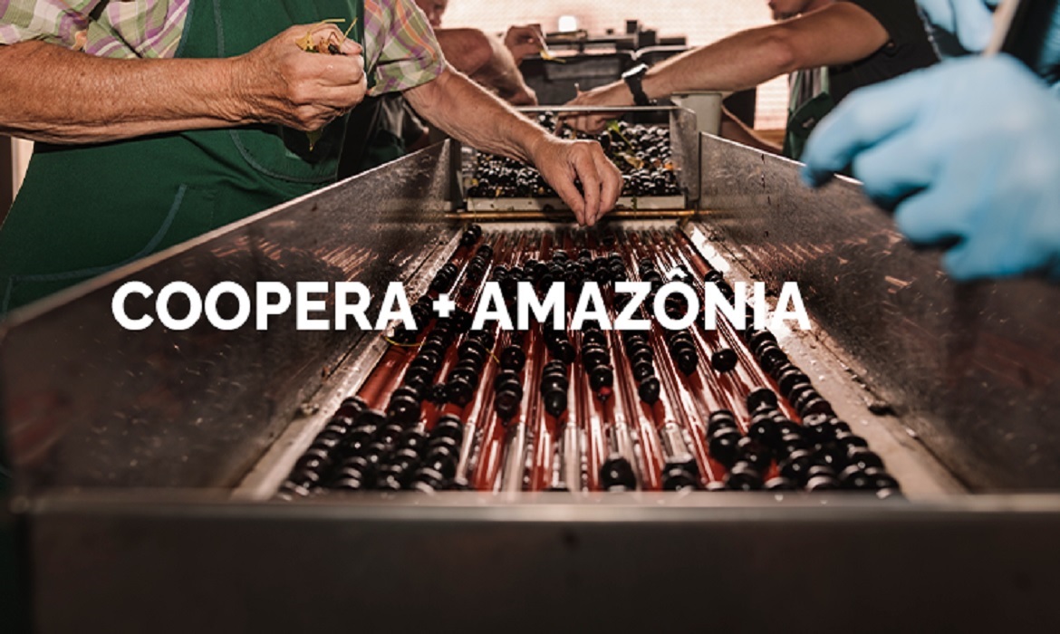 A iniciativa prevê atender cerca de 6 mil famílias e 50 cooperativas nos estados do Acre, Amazonas, Maranhão, Pará e Rondônia.