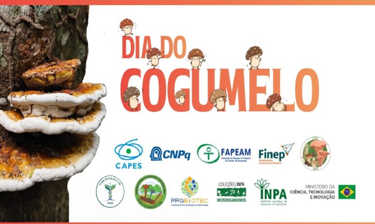 Exposição reúne laboratórios do Inpa e da Ufam para apresentar cultivo, ciência e biodiversidade de macrofungos amazônicos.